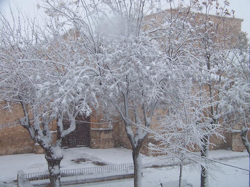 nieve 14 - 12 - 09 116